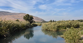 Kibbutzim Stream overlooked by the Gilboa Mountain