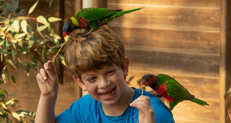 Child with Lorikeet